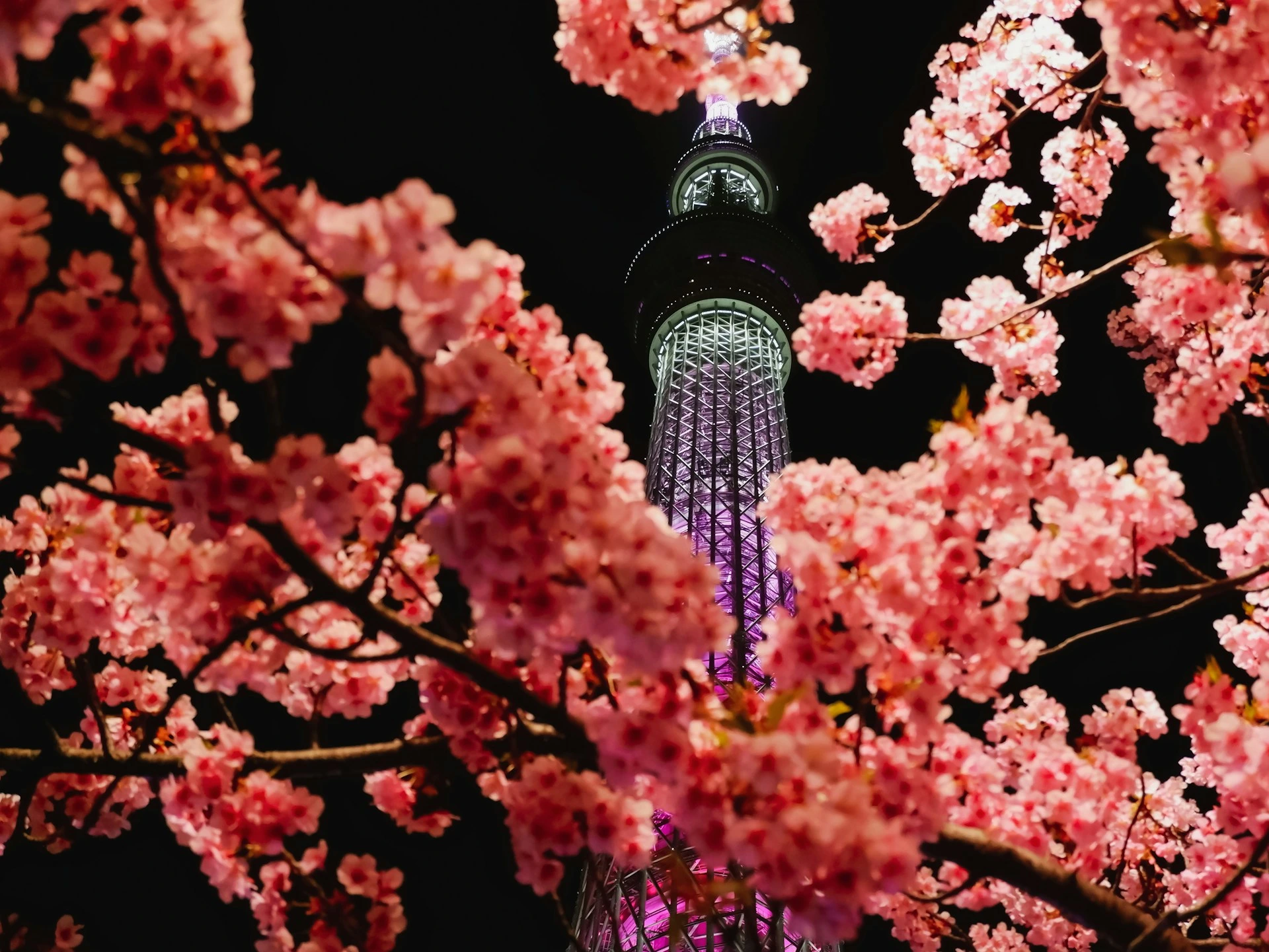 Tokyo